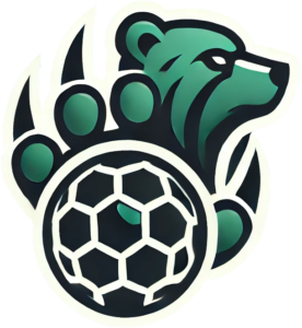 DSFC Futsal